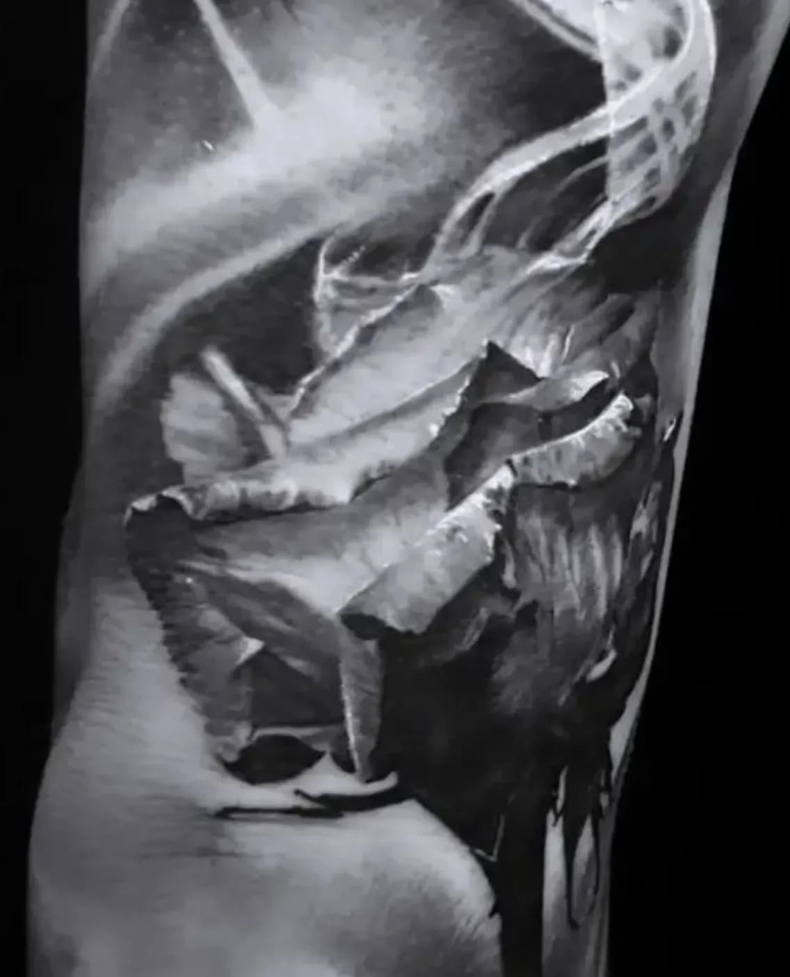 Beste tattoos in Nürnberg 